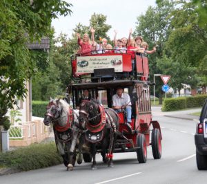 kfd-Kutschfahrt durch die Salzkottener "Tiefebene" @ Norikergestüt Borkenhagen | Salzkotten | Nordrhein-Westfalen | Deutschland